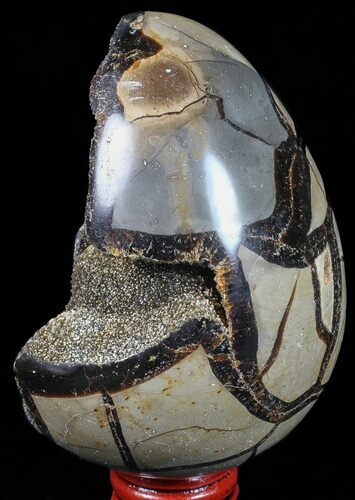 Septarian Dragon Egg Geode - Black Crystals #57487